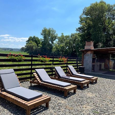 Casa Cu Flori Maramures Baia Mare Eksteriør bilde