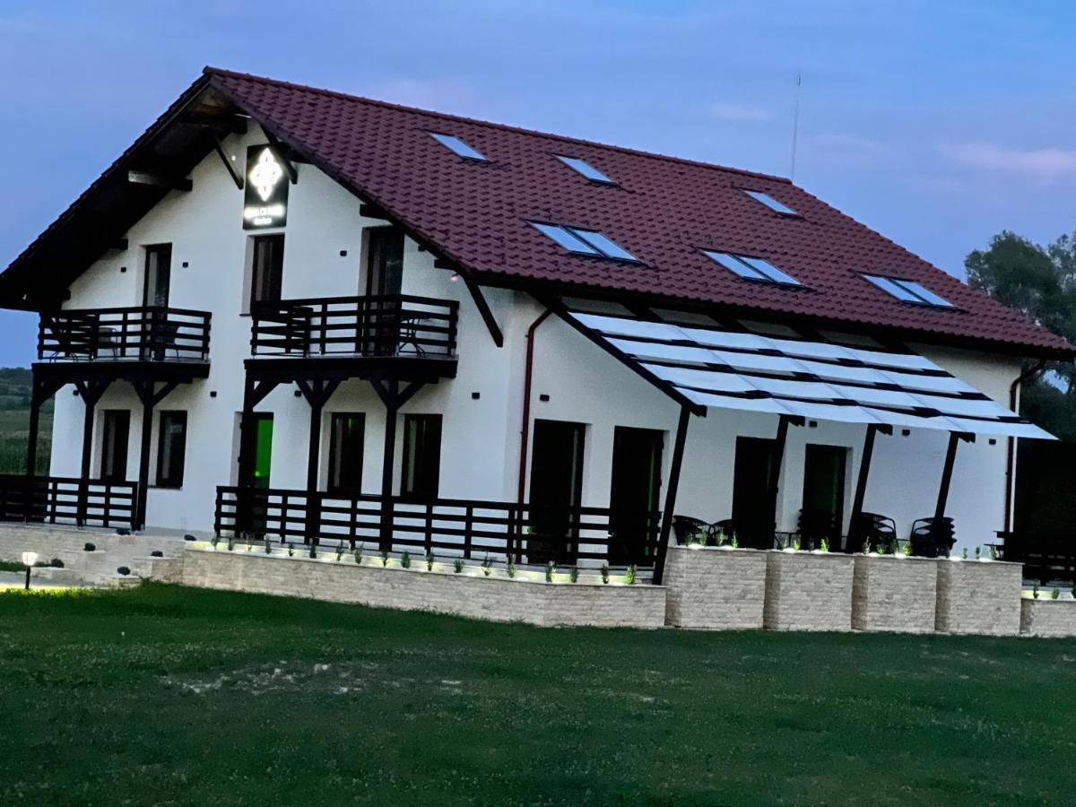Casa Cu Flori Maramures Baia Mare Eksteriør bilde