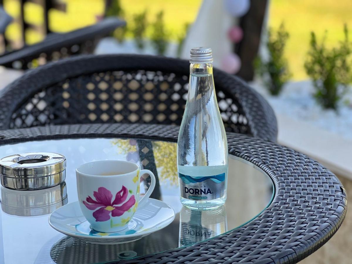 Casa Cu Flori Maramures Baia Mare Eksteriør bilde