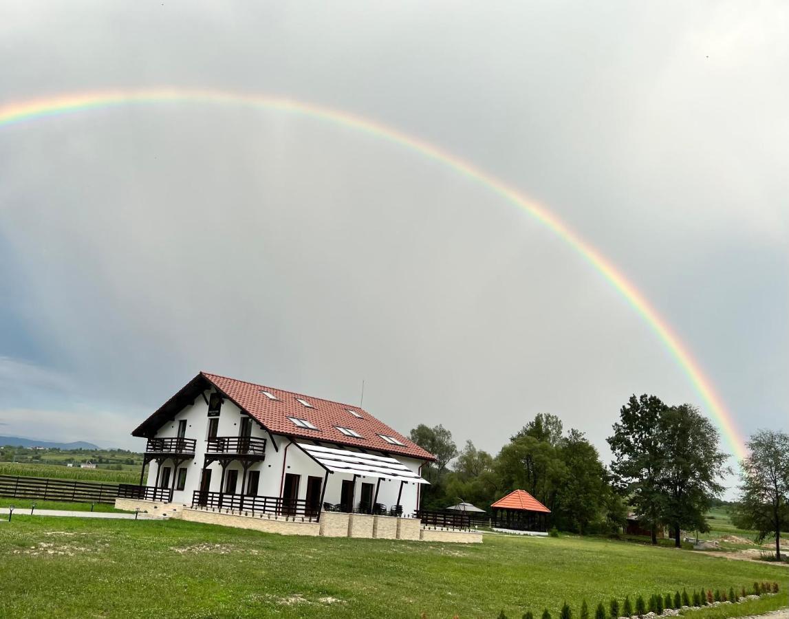 Casa Cu Flori Maramures Baia Mare Eksteriør bilde