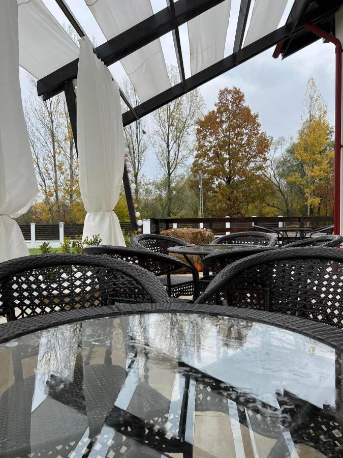 Casa Cu Flori Maramures Baia Mare Eksteriør bilde
