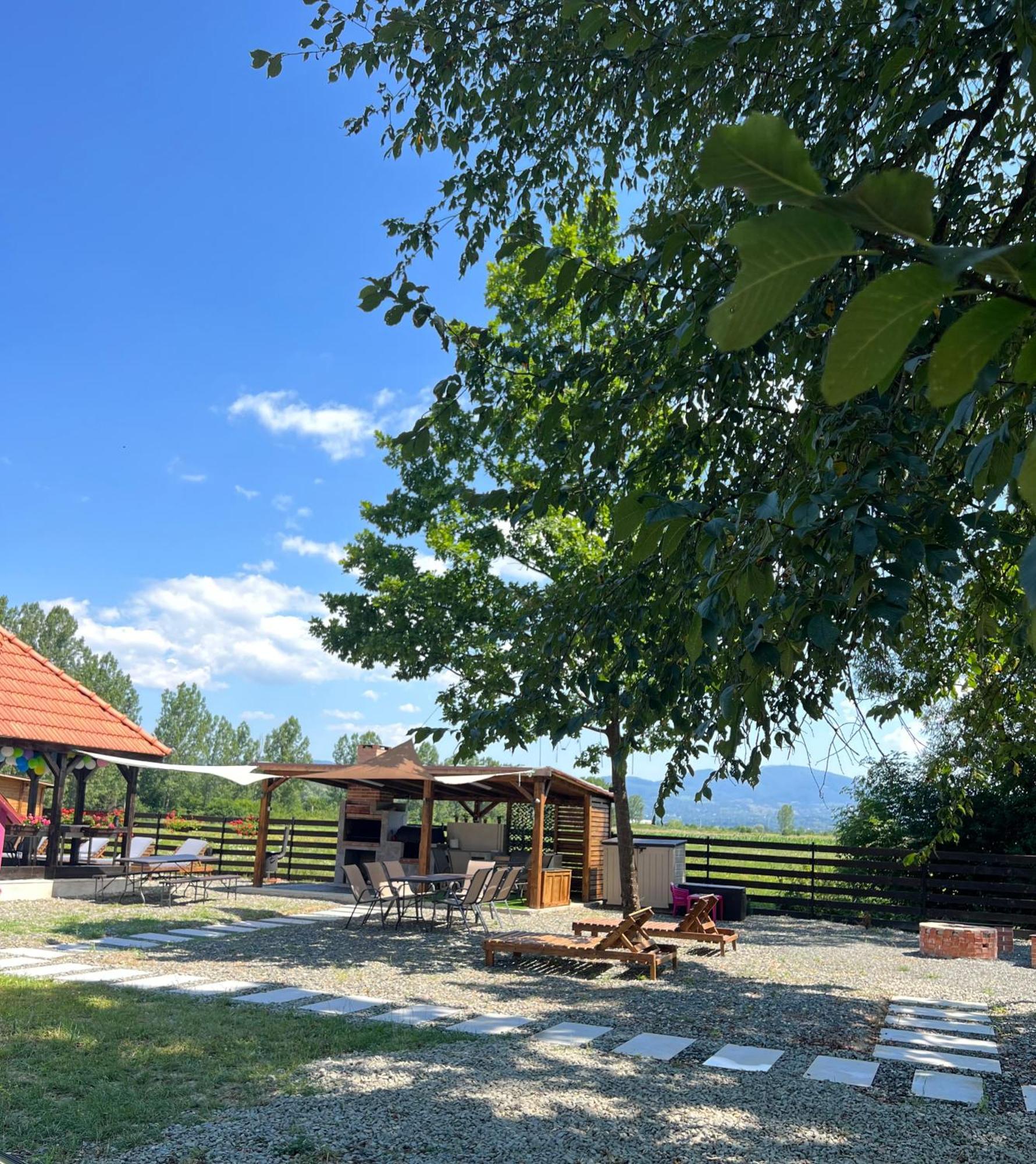 Casa Cu Flori Maramures Baia Mare Eksteriør bilde